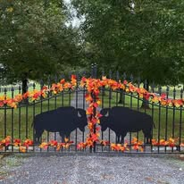An iron entrance gate with bison silhouettes, decorated with fall leaves